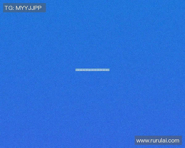 篮球明星王世鹏的传奇人生与篮球梦想的追逐之路